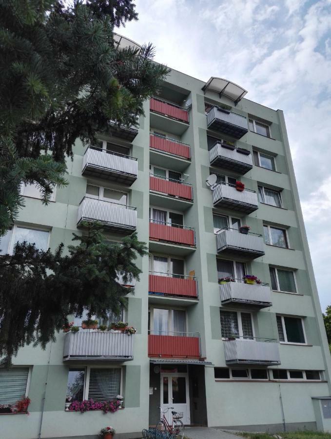 Apartman-Trebon-Centrum Eksteriør billede